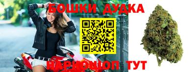 молекула духа Аша